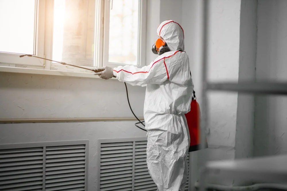 Professional mold remediation services in Waterville Valley, NH